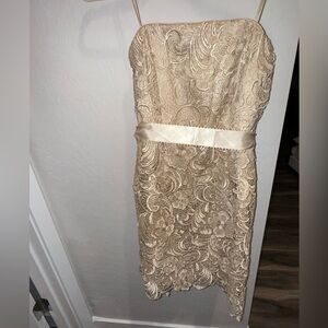 Adrianna Papell Strapless Lace Dress in Golden Beige size 4 excellent condition